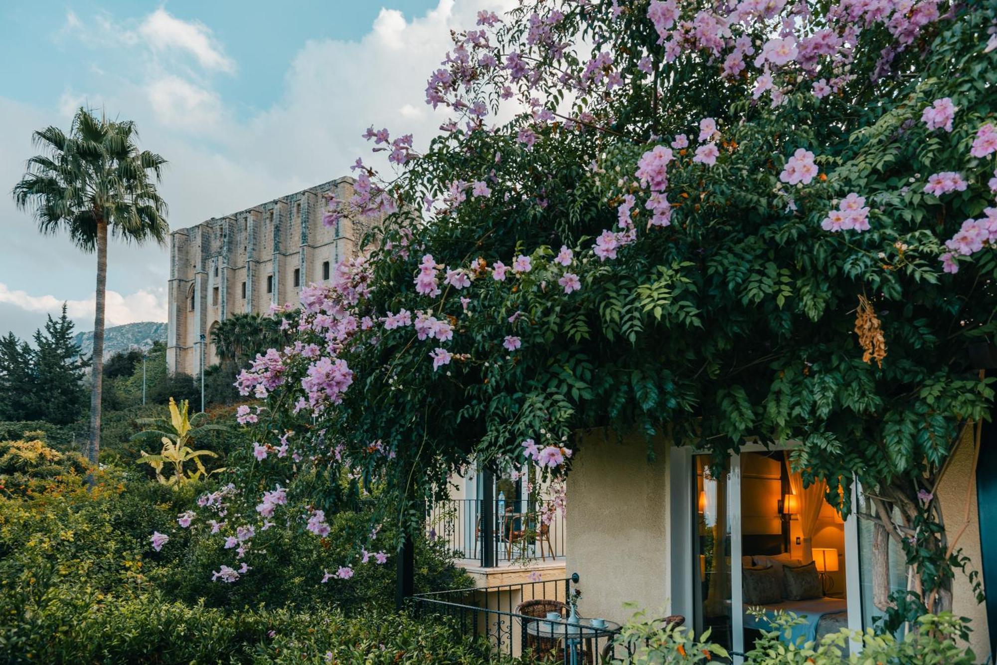 Bellapais Gardens Hostel Kültér fotó