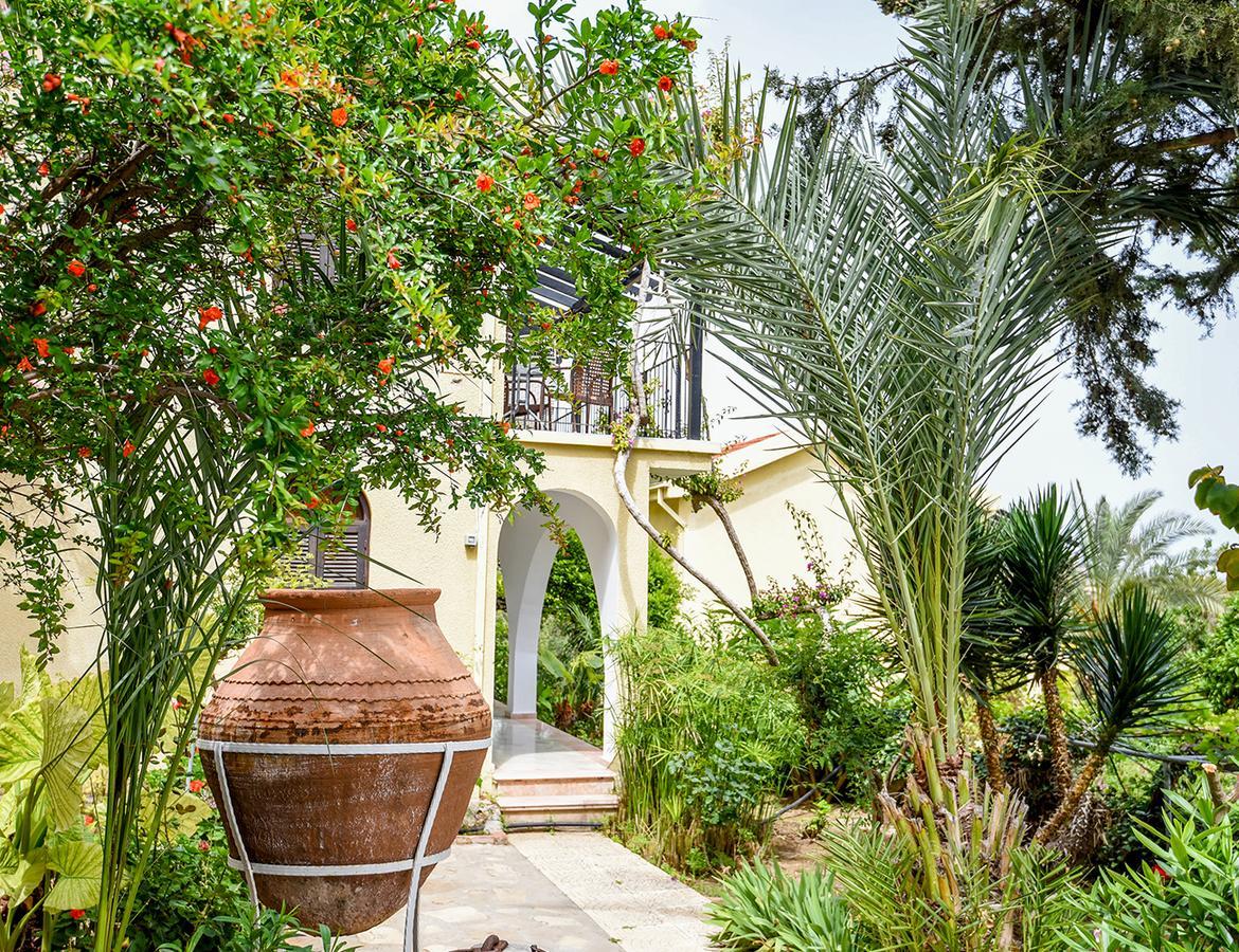Bellapais Gardens Hostel Kültér fotó